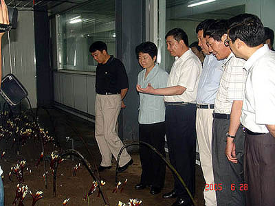 必一运动